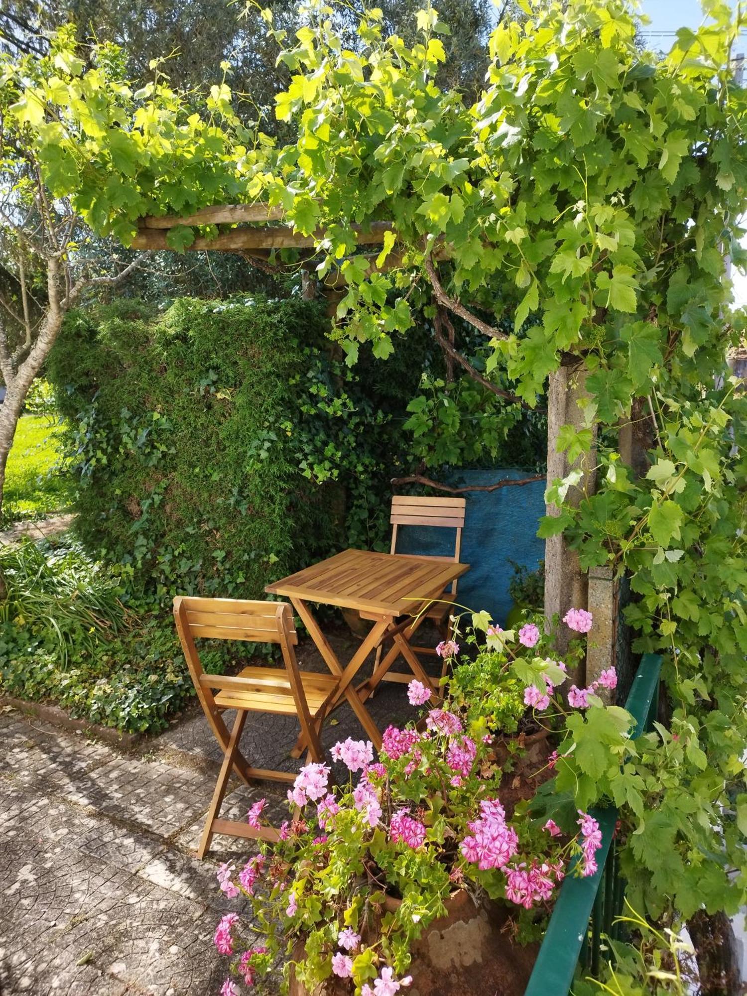 A Casa Da Fonte Villa Alviobeira Luaran gambar