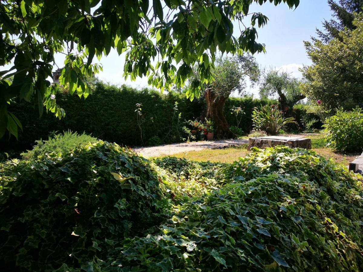 A Casa Da Fonte Villa Alviobeira Luaran gambar